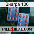 Виагра 100 05